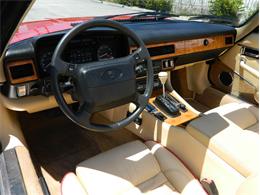 1991 Jaguar XJS Classic Collection (CC-996816) for sale in Fort Lauderdale, Florida
