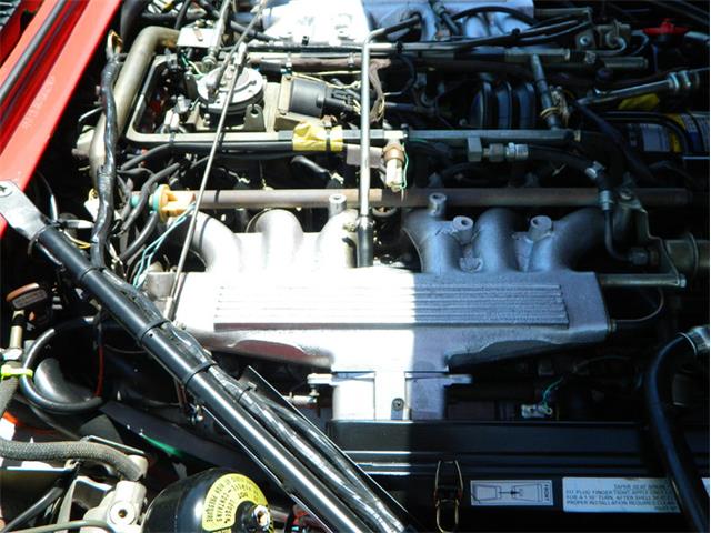 1991 Jaguar XJS Classic Collection (CC-996816) for sale in Fort Lauderdale, Florida