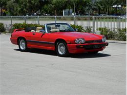 1991 Jaguar XJS Classic Collection (CC-996816) for sale in Fort Lauderdale, Florida