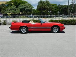 1991 Jaguar XJS Classic Collection (CC-996816) for sale in Fort Lauderdale, Florida