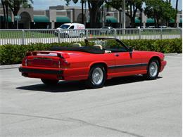 1991 Jaguar XJS Classic Collection (CC-996816) for sale in Fort Lauderdale, Florida