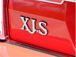 1991 Jaguar XJS Classic Collection (CC-996816) for sale in Fort Lauderdale, Florida