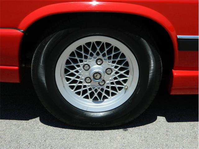 1991 Jaguar XJS Classic Collection (CC-996816) for sale in Fort Lauderdale, Florida