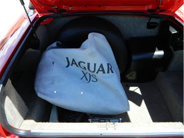 1991 Jaguar XJS Classic Collection (CC-996816) for sale in Fort Lauderdale, Florida