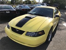 2003 Ford Mustang Mach 1 (CC-997238) for sale in West Babylon, New York