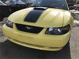 2003 Ford Mustang Mach 1 (CC-997238) for sale in West Babylon, New York