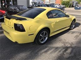 2003 Ford Mustang Mach 1 (CC-997238) for sale in West Babylon, New York