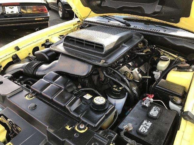 2003 Ford Mustang Mach 1 (CC-997238) for sale in West Babylon, New York