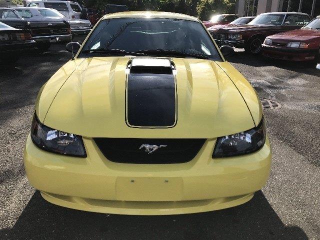 2003 Ford Mustang Mach 1 (CC-997238) for sale in West Babylon, New York