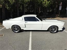 1967 Ford  Mustang  (CC-997662) for sale in Los Gatos, California