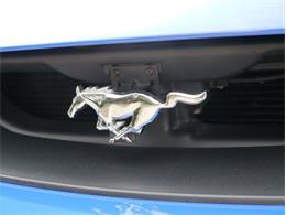 2004 Ford Mustang Mach 1 (CC-997717) for sale in Alsip, Illinois