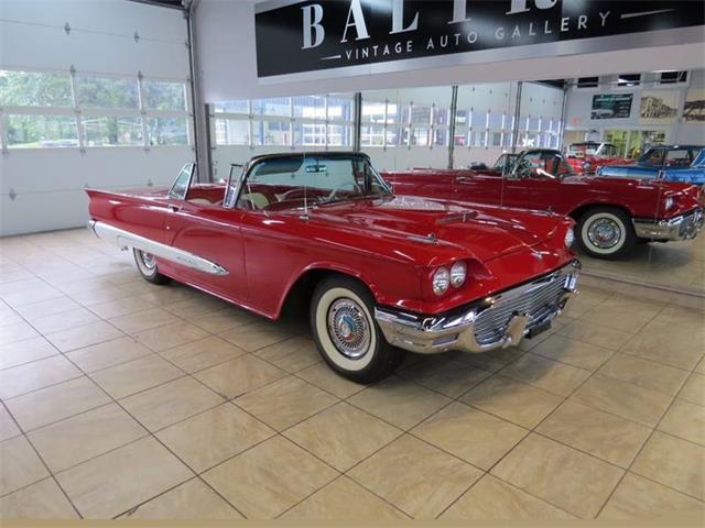 1959 Ford Thunderbird (CC-997777) for sale in St. Charles, Illinois