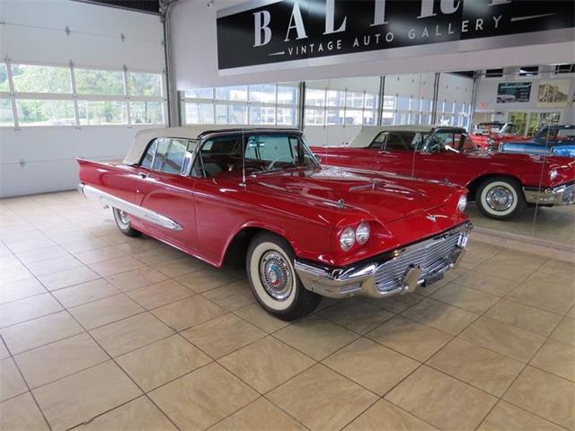 1959 Ford Thunderbird (CC-997777) for sale in St. Charles, Illinois