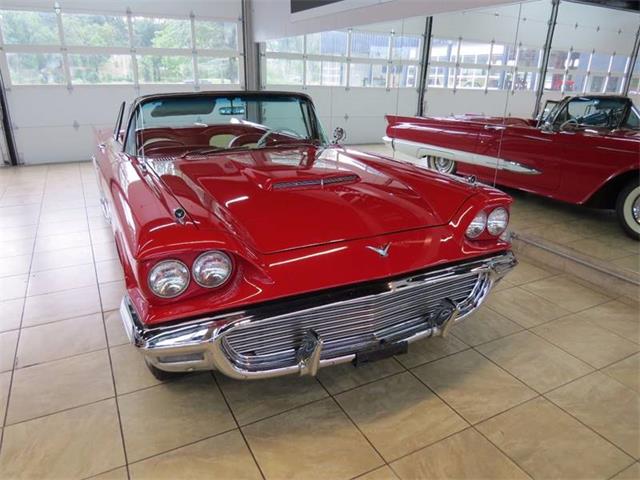 1959 Ford Thunderbird (CC-997777) for sale in St. Charles, Illinois