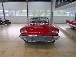1959 Ford Thunderbird (CC-997777) for sale in St. Charles, Illinois