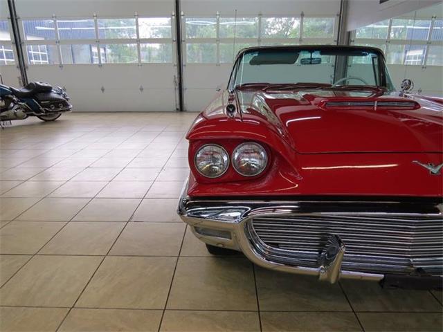 1959 Ford Thunderbird (CC-997777) for sale in St. Charles, Illinois