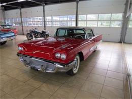 1959 Ford Thunderbird (CC-997777) for sale in St. Charles, Illinois