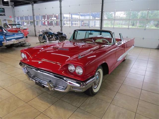 1959 Ford Thunderbird (CC-997777) for sale in St. Charles, Illinois