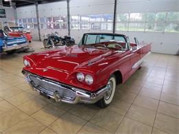 1959 Ford Thunderbird (CC-997777) for sale in St. Charles, Illinois