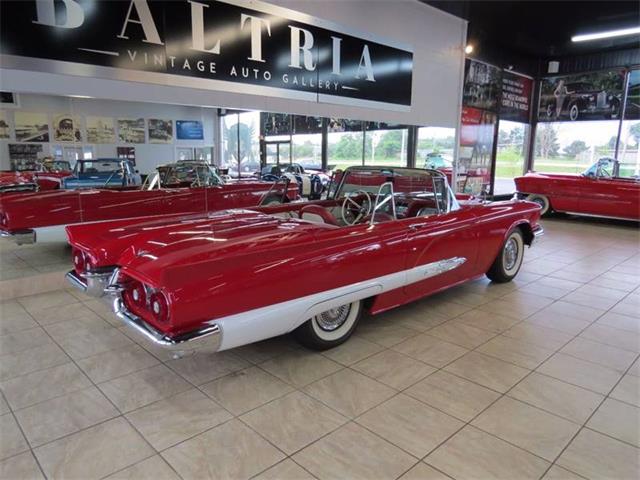 1959 Ford Thunderbird (CC-997777) for sale in St. Charles, Illinois