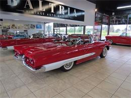 1959 Ford Thunderbird (CC-997777) for sale in St. Charles, Illinois