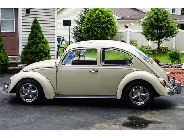1967 Volkswagen Beetle Deluxe Sedan Sunroof (CC-998035) for sale in Saratoga Springs, New York