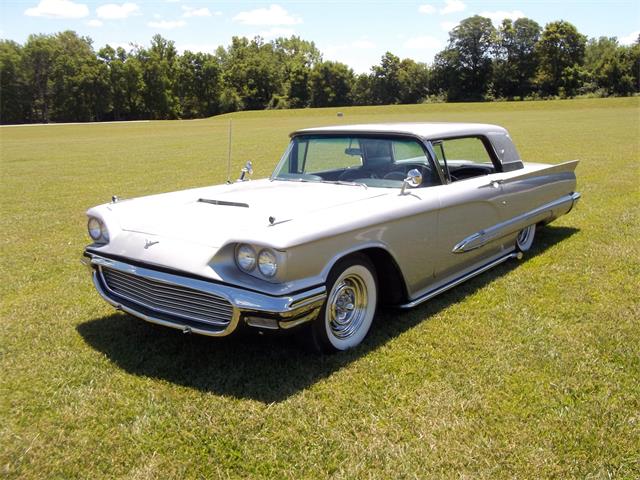 1959 Ford Thunderbird (CC-998123) for sale in Plainfield, Indiana