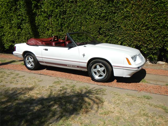 1984 Ford Mustang GT350 (CC-998467) for sale in Woodland Hills, California