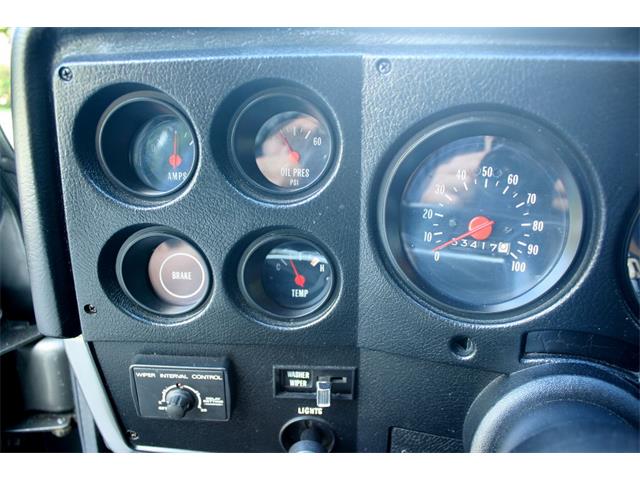 1975 Chevrolet CK20 (CC-998503) for sale in lakeland, Florida