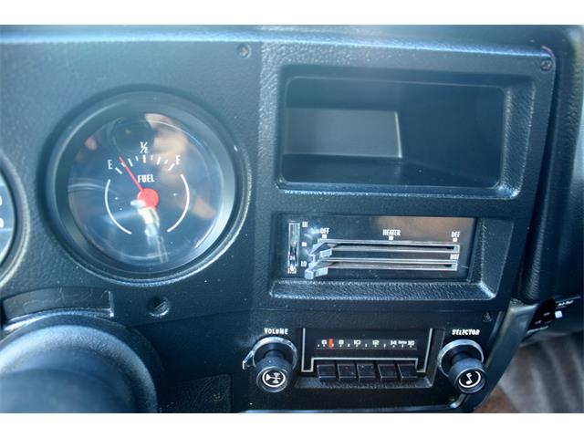 1975 Chevrolet CK20 (CC-998503) for sale in lakeland, Florida