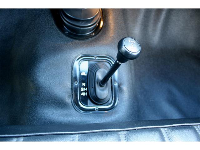 1975 Chevrolet CK20 (CC-998503) for sale in lakeland, Florida