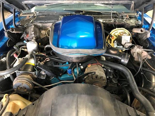 1978 Pontiac Firebird Trans Am (CC-999067) for sale in Clarksburg, Maryland