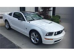 2009 Ford Mustang GT 45th Anniversary Edition (CC-999344) for sale in Greensboro, North Carolina