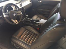 2009 Ford Mustang GT 45th Anniversary Edition (CC-999344) for sale in Greensboro, North Carolina