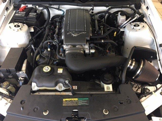 2009 Ford Mustang GT 45th Anniversary Edition (CC-999344) for sale in Greensboro, North Carolina