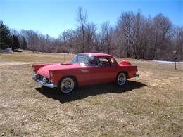 1956 Ford Thunderbird (CC-999414) for sale in Tolland, Connecticut