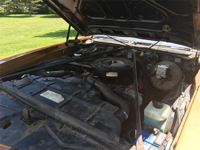 1972 Oldsmobile Vista Cruiser (CC-999475) for sale in Manitowoc, Wisconsin