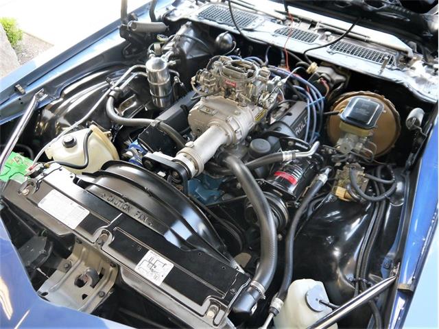 1981 Chevrolet Camaro Z28 (CC-999773) for sale in Alsip, Illinois