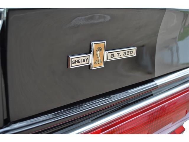 1967 Ford Shelby Mustang GT 350 Clone (CC-990998) for sale in Irvine, California