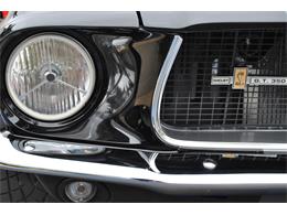 1967 Ford Shelby Mustang GT 350 Clone (CC-990998) for sale in Irvine, California